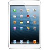 Apple iPad mini 32Gb Wi-Fi + Cellular белый - Камышлов