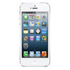 Apple iPhone 5 16Gb white - Камышлов