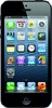 Apple iPhone 5 16GB - Камышлов