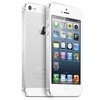 Apple iPhone 5 64Gb white - Камышлов